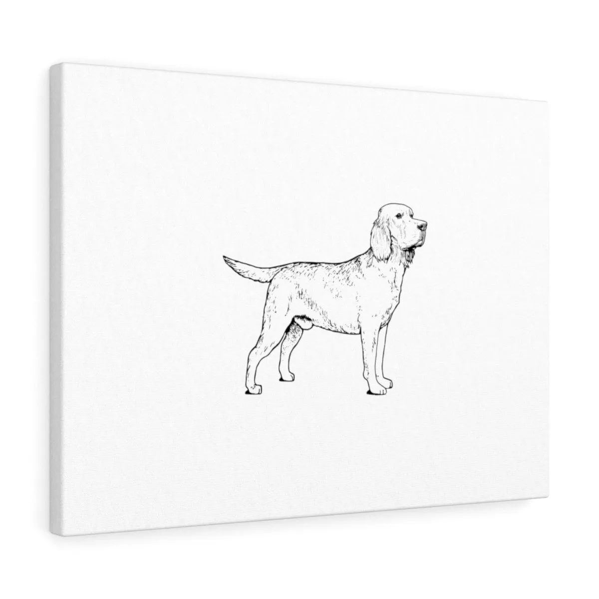 Labrador Retriever Canvas Gallery Wraps