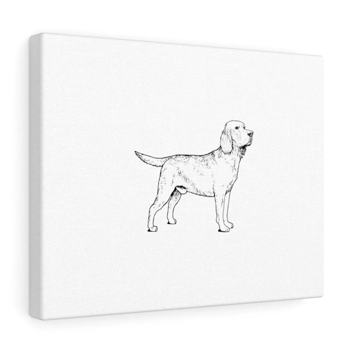 Labrador Retriever Canvas Gallery Wraps