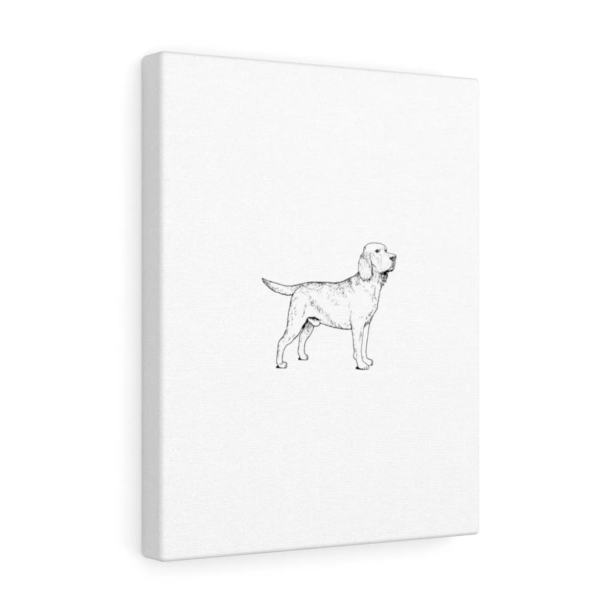 Labrador Retriever Canvas Gallery Wraps