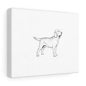 Labrador Retriever Canvas Gallery Wraps