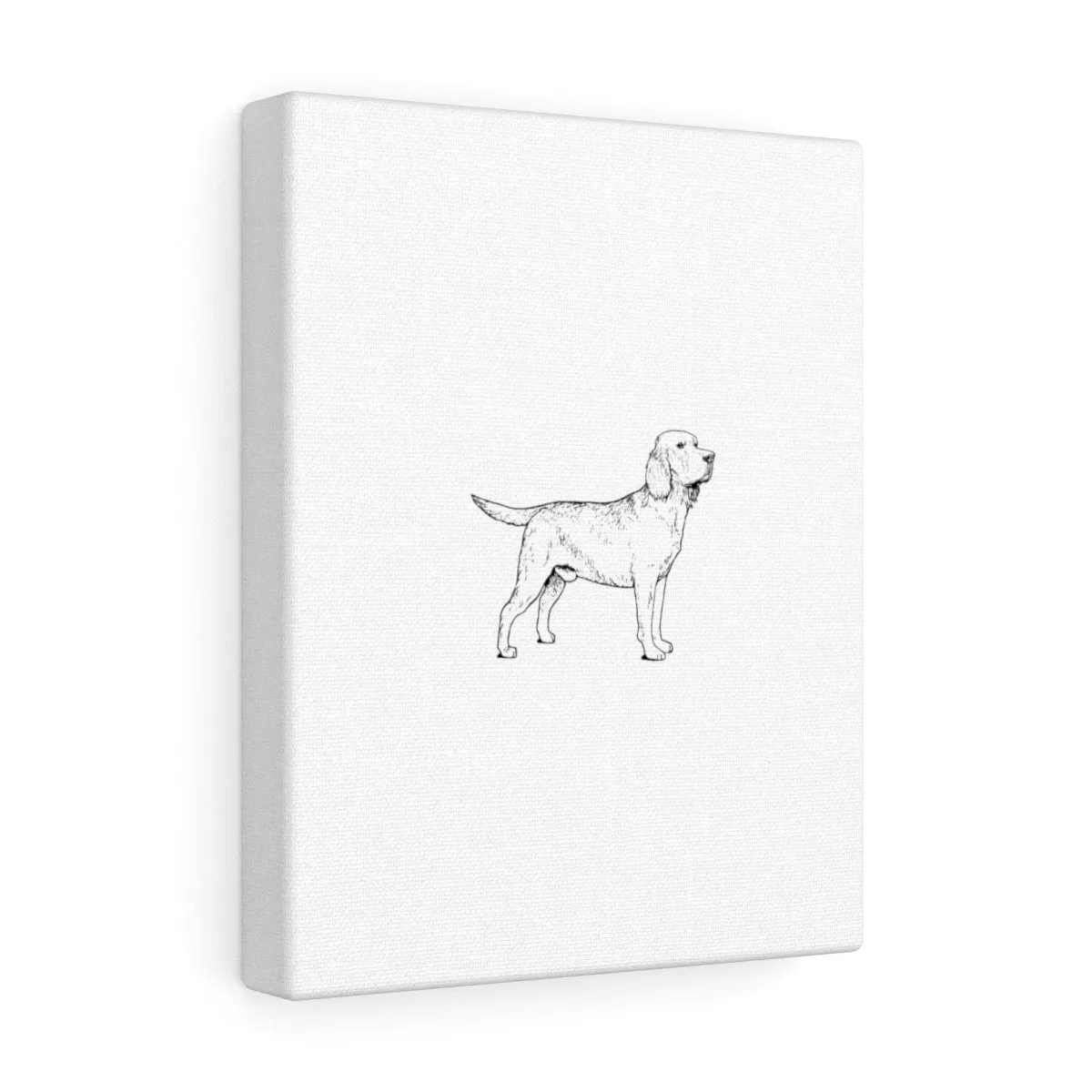 Labrador Retriever Canvas Gallery Wraps